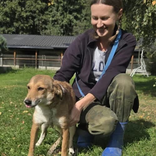 Lalka, female puppy Mixed Breed for adoption at Fundacja Puszatek, Warszawa