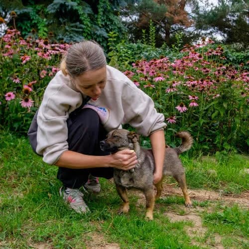 Cleo, female puppy Mixed Breed for adoption at Fundacja Puszatek, Warszawa