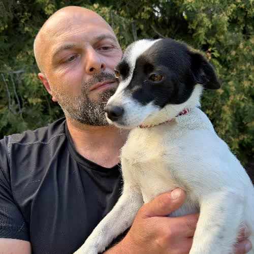 Kira, female puppy Mixed Breed for adoption at Fundacja Puszatek, Warszawa