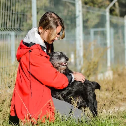 Adaś, male puppy Mixed Breed for adoption at Fundacja Puszatek, Warszawa