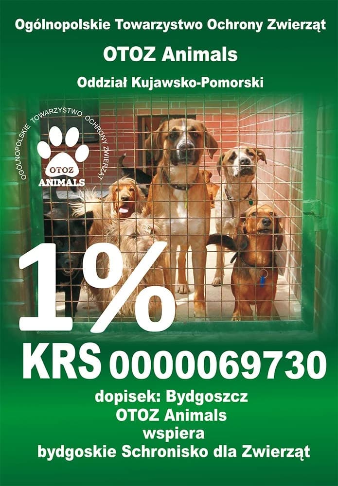 Pomóż nam pomagać !!!. OTOZ Animals, Przyjaciel i wielkie wsparcie dla naszego Schroniska, Mixed Breed for adoption at Schronisko dla Zwierząt w Bydgoszczy, BYDGOSZUZ