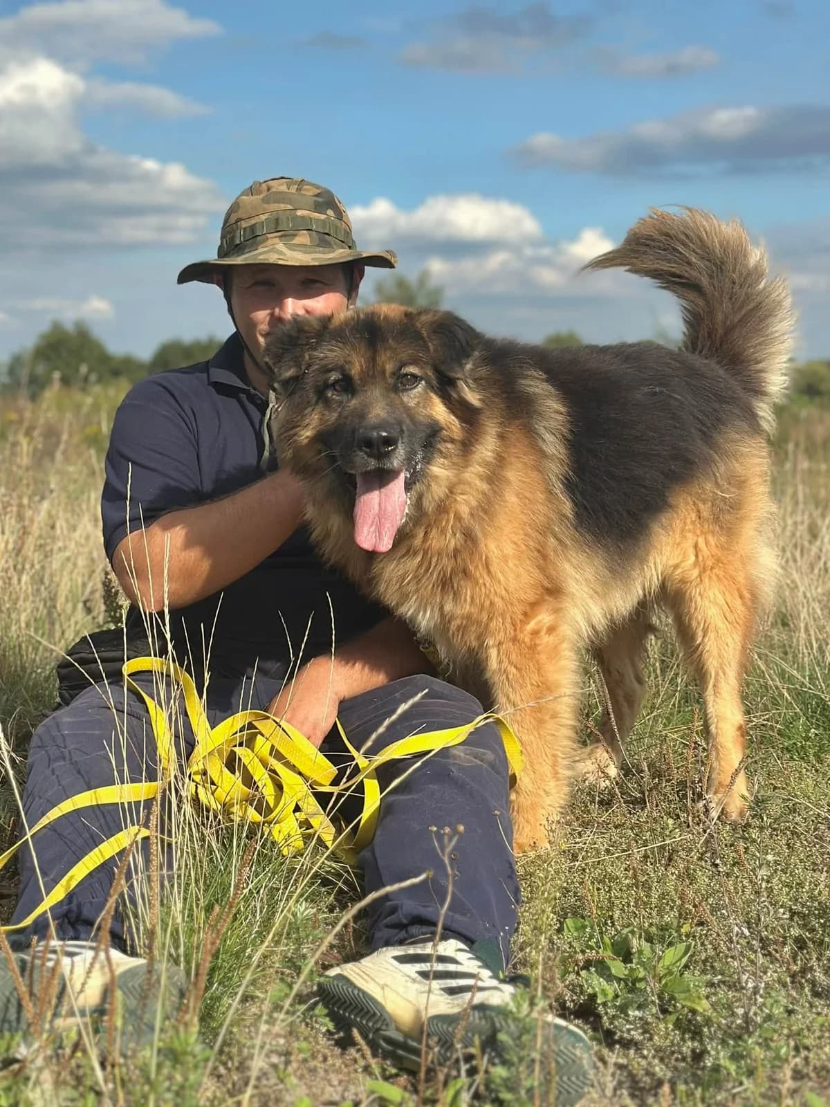 Bigos, male 7yo Mixed Breed for adoption at Schronisko Choszczno