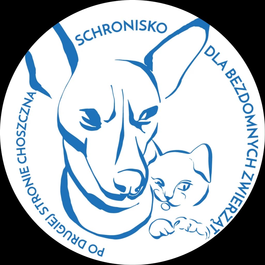 Lemon, male young Mixed Breed for adoption at Schronisko Choszczno