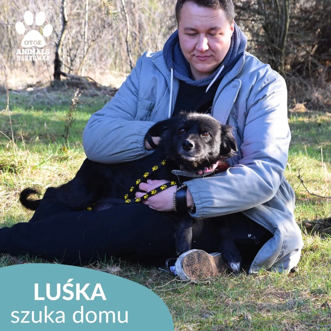 Schronisko dla zwierząt w Dąbrówce, senior Mixed Breed for adoption at Schronisko dla Bezdomnych Zwierząt w Dąbrówce
