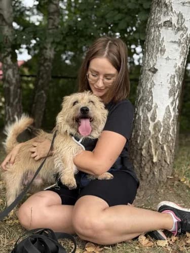 CEZAR, senior mixed breed for adoption at Schronisko Kraków, Kraków