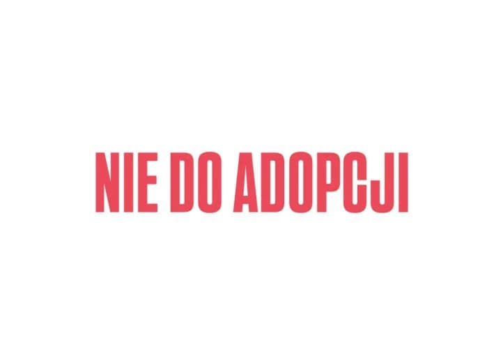 GLAZURA, 3yo mixed breed for adoption at Schronisko Kraków, Kraków