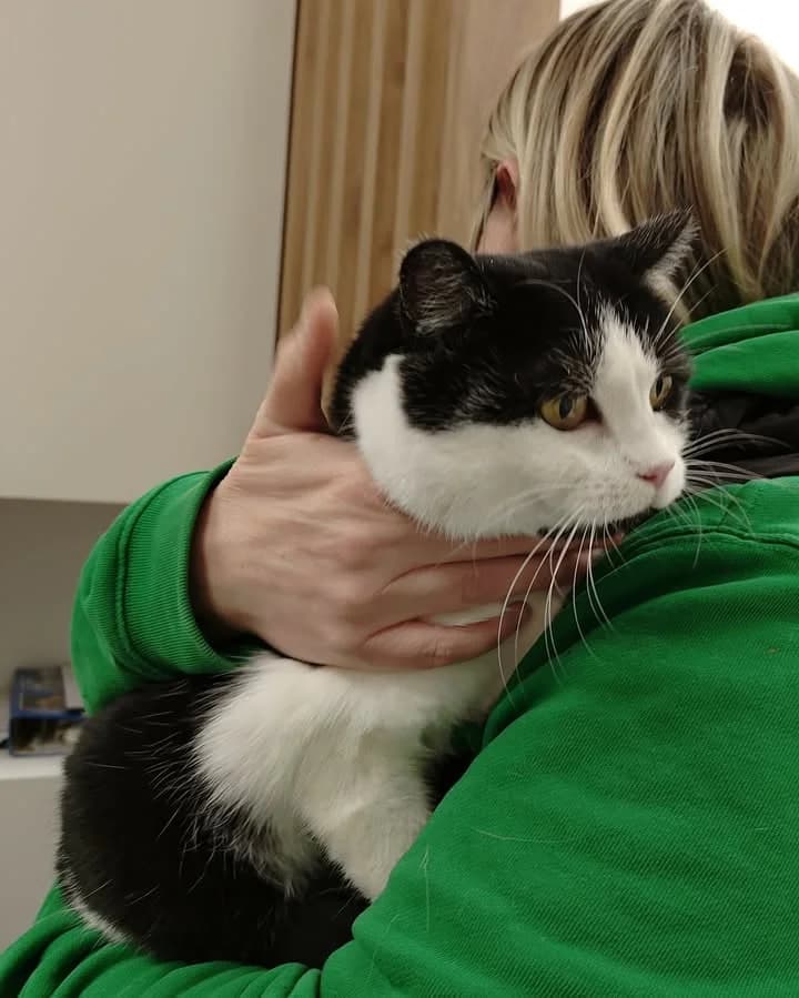 MONTANA, Mixed Breed for adoption at Schronisko Lublin, Lublin