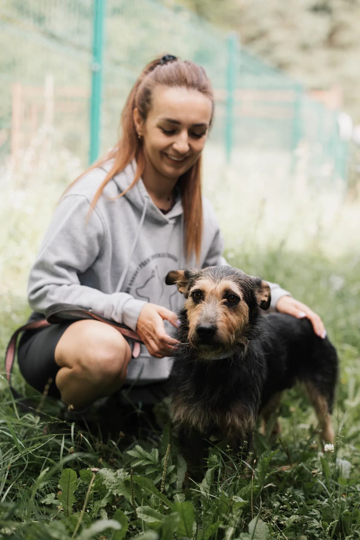 Fala, female Mixed Breed for adoption at Schronisko dla zwierząt w Ostródzie