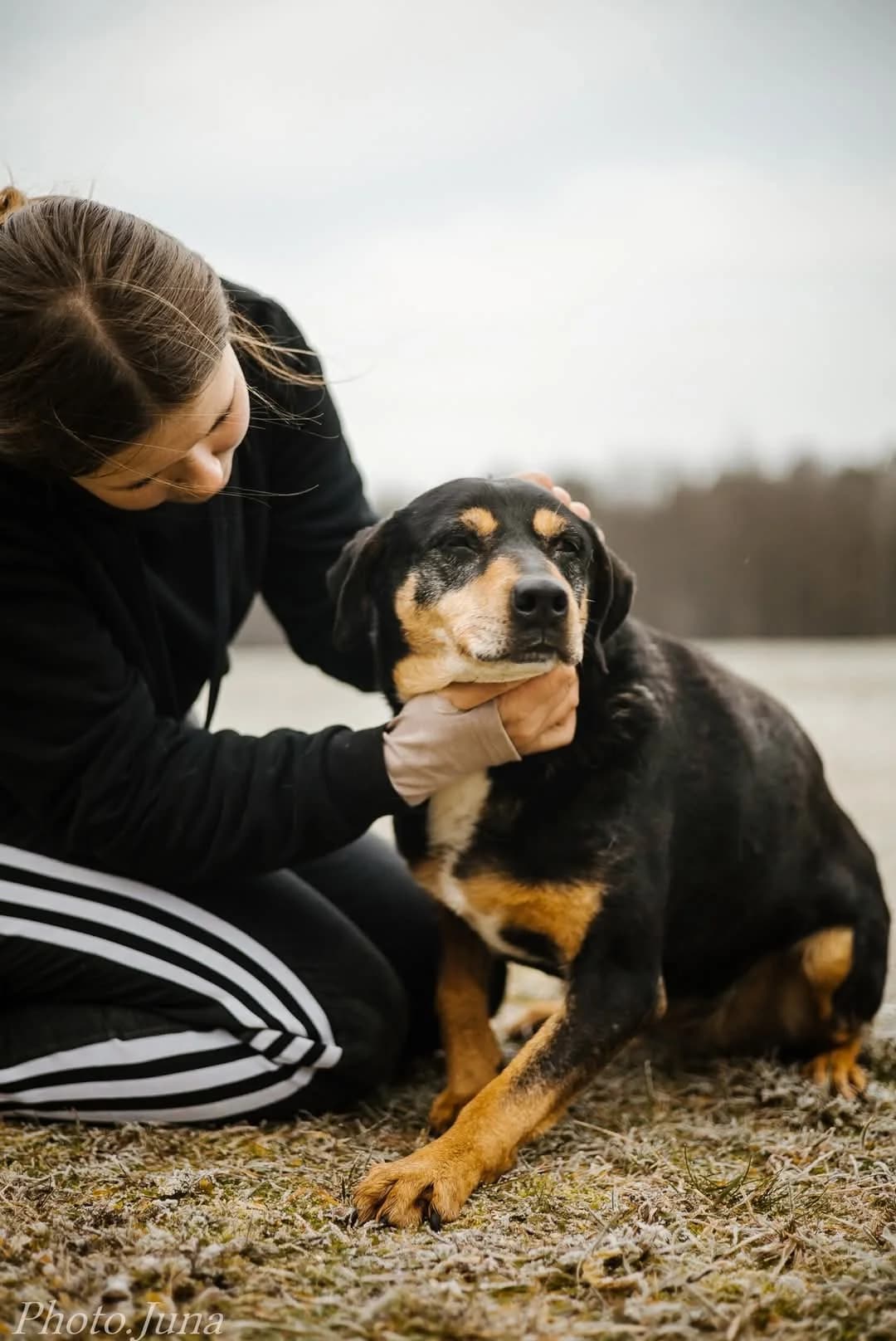 Kora, Mixed Breed for adoption at Schronisko Radom, Radom