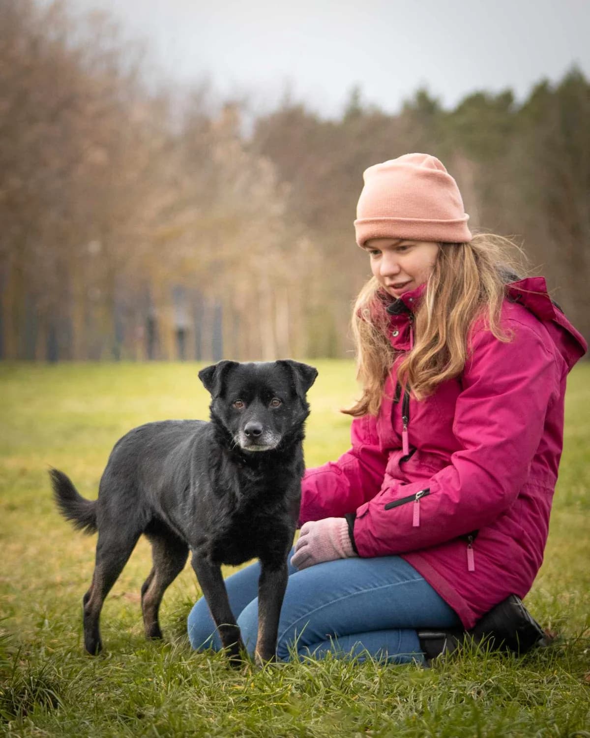 Max i Murzyn, Mixed Breed for adoption at Schronisko Radom, Radom