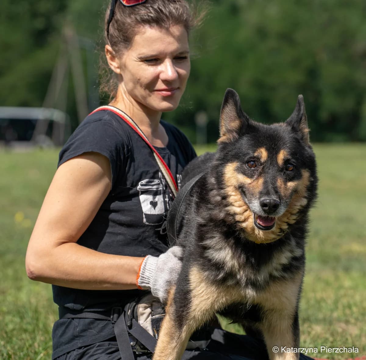 Reks, male Mixed Breed for adoption at Schronisko Radom, Radom