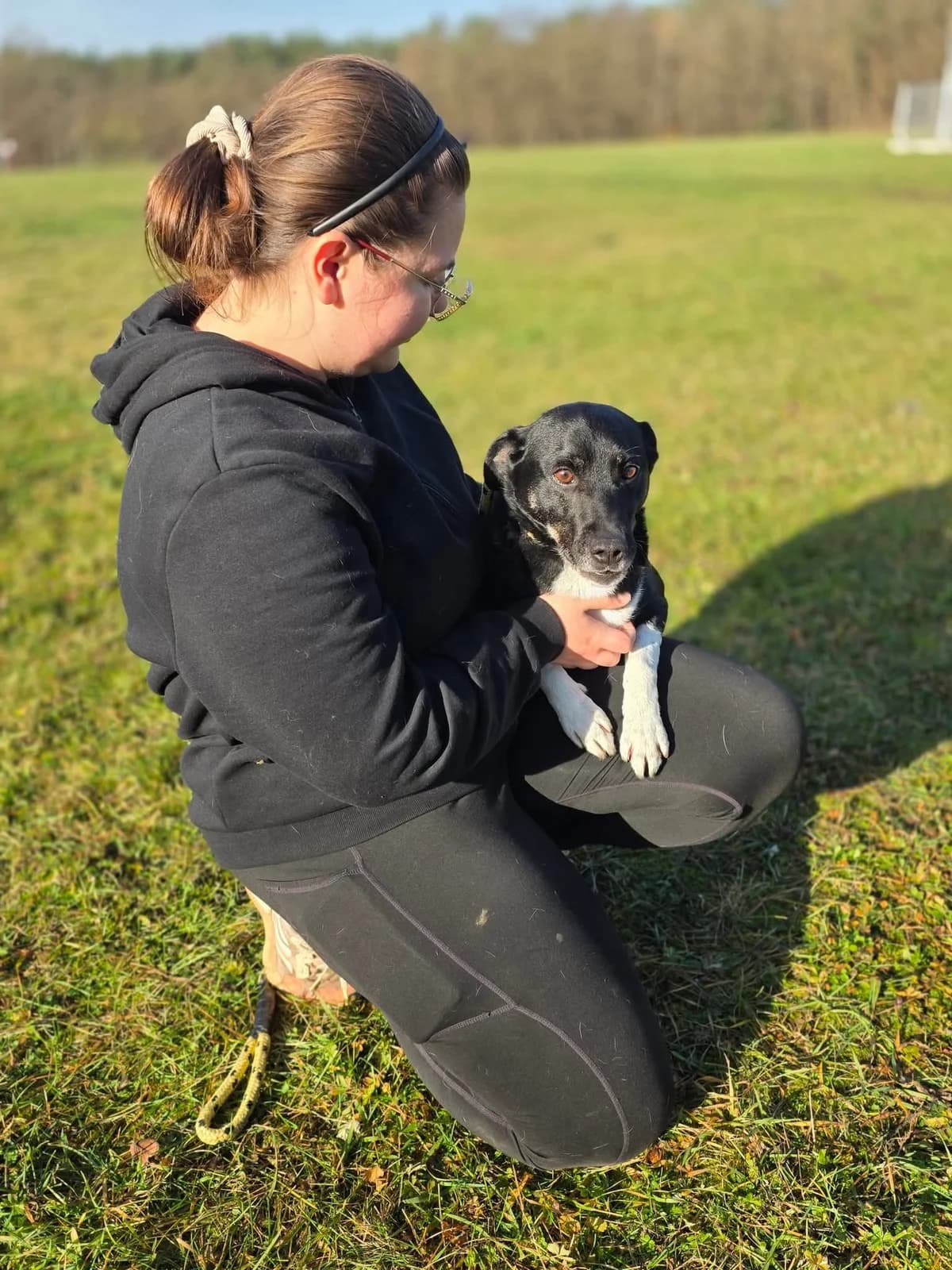 Roki, male puppy Mixed Breed for adoption at Schronisko Radom, Radom