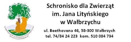 Dziczka 157/26, female puppy Mixed Breed for adoption at Schronisko dla Zwierząt Wałbrzych