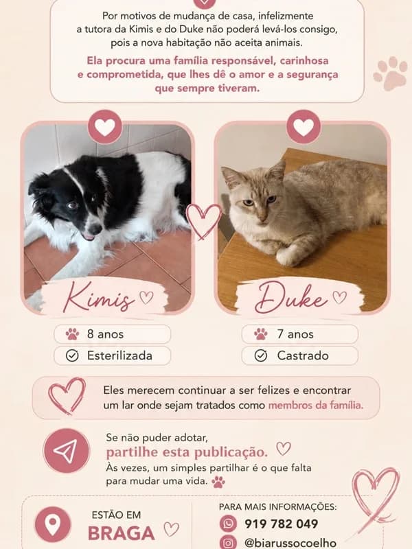 Kimis e Duke, female 4yo Mixed Breed for adoption at ABRA Braga, Braga
