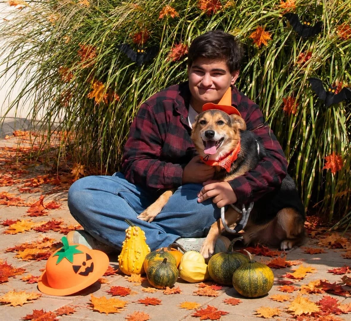 Wizard, Negru male senior Mixed Breed for adoption at ASPA București — Catalog Câini