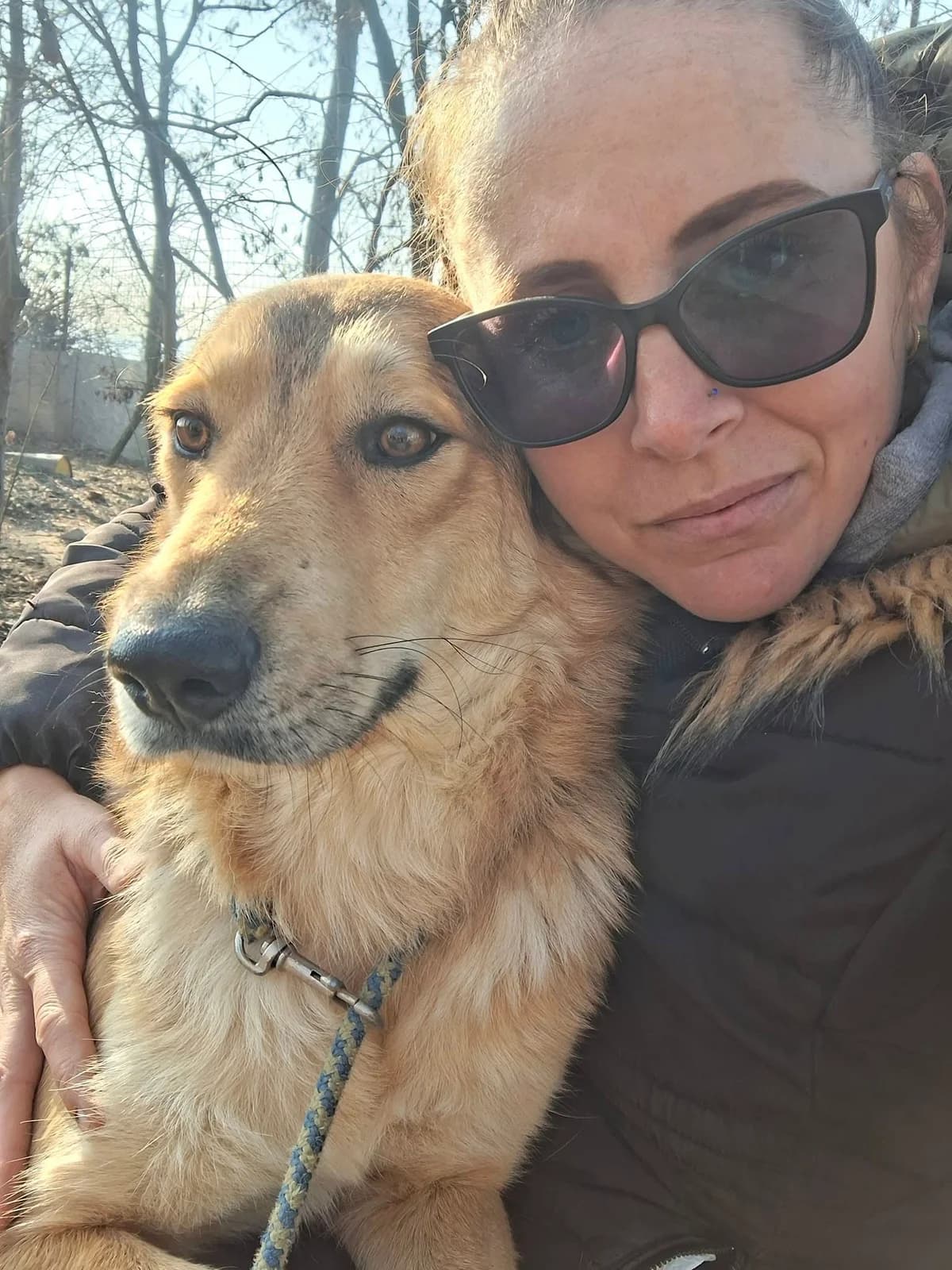 BELLO, male mixed breed for adoption at No Limit Pets, Romania