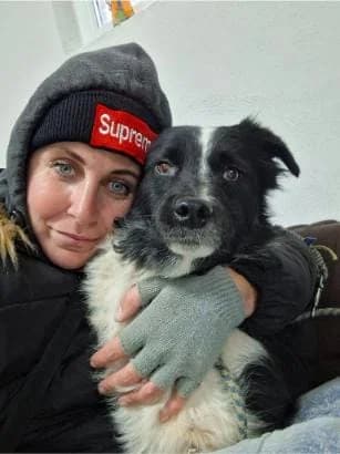 CERRI, female mixed breed for adoption at No Limit Pets, Romania