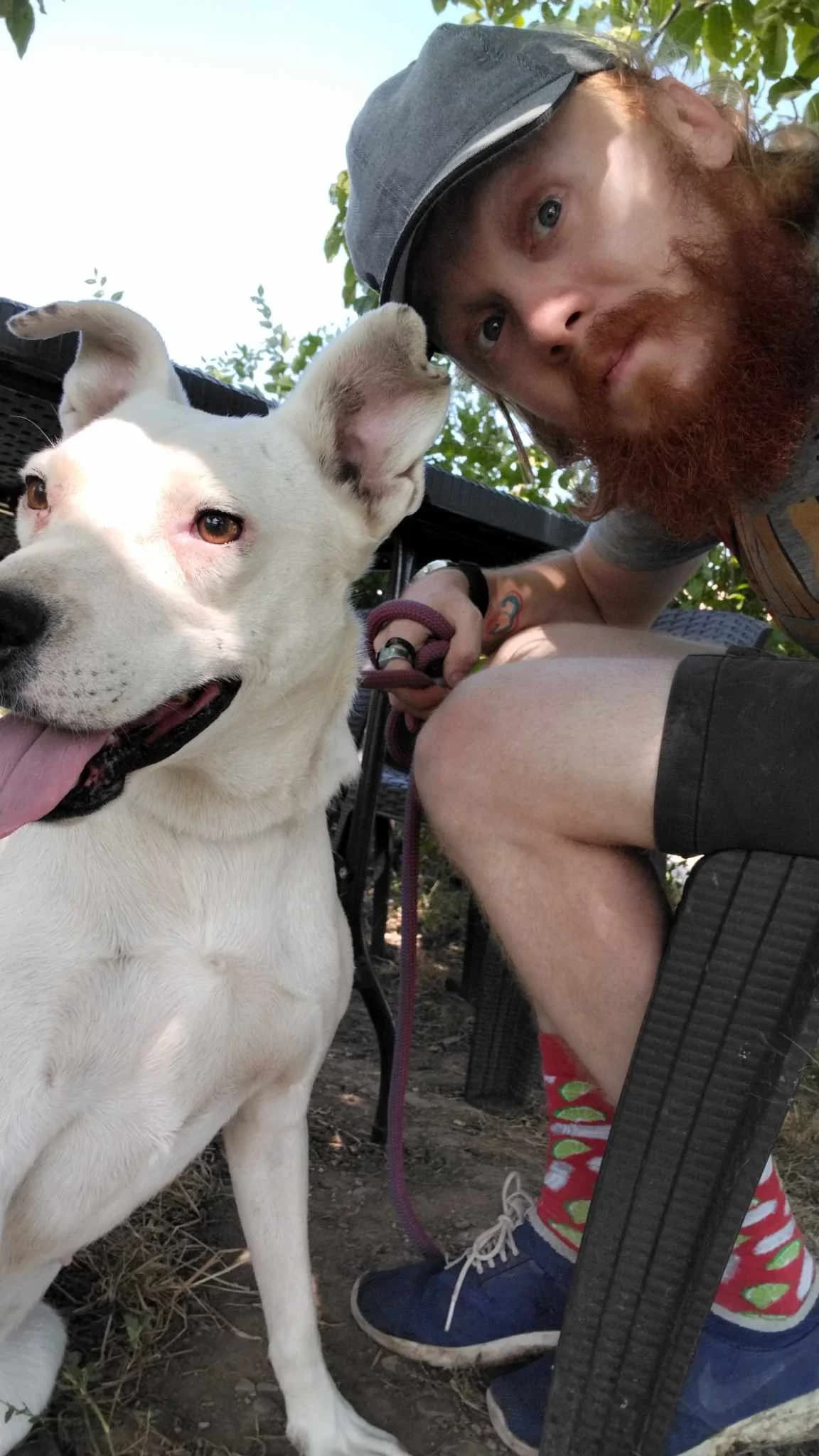 FREYA 3907, female 4yo mixed breed for adoption at No Limit Pets, Romania