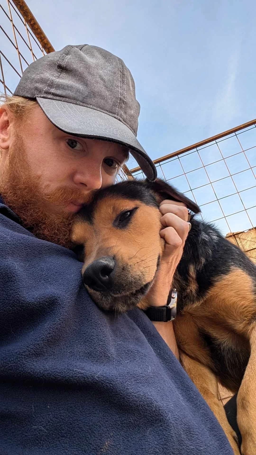 Roxie 4521, male mixed breed for adoption at No Limit Pets, Romania