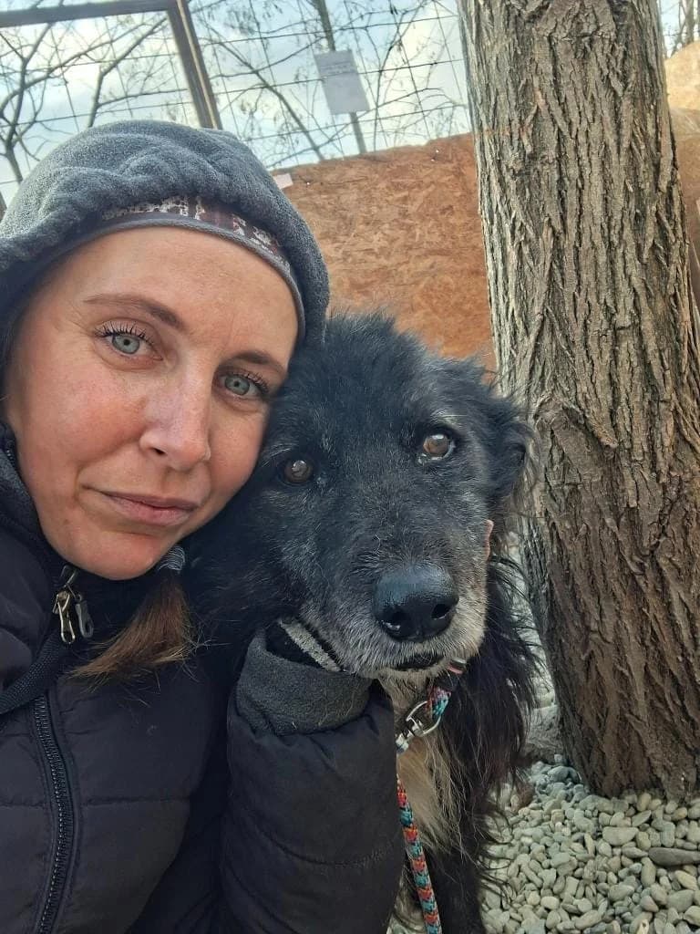 TIMY, male mixed breed for adoption at No Limit Pets, Romania