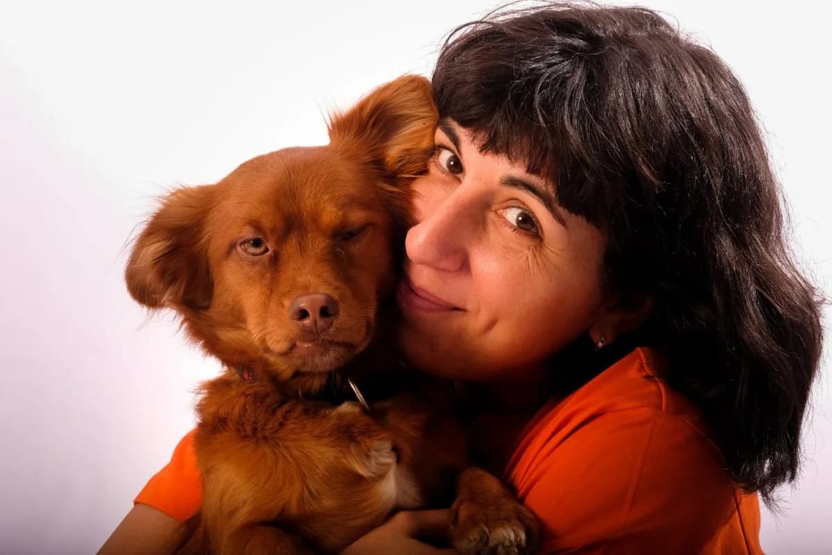 A First for Employees, senior Mixed Breed for adoption at Speranța Shelter Foundation