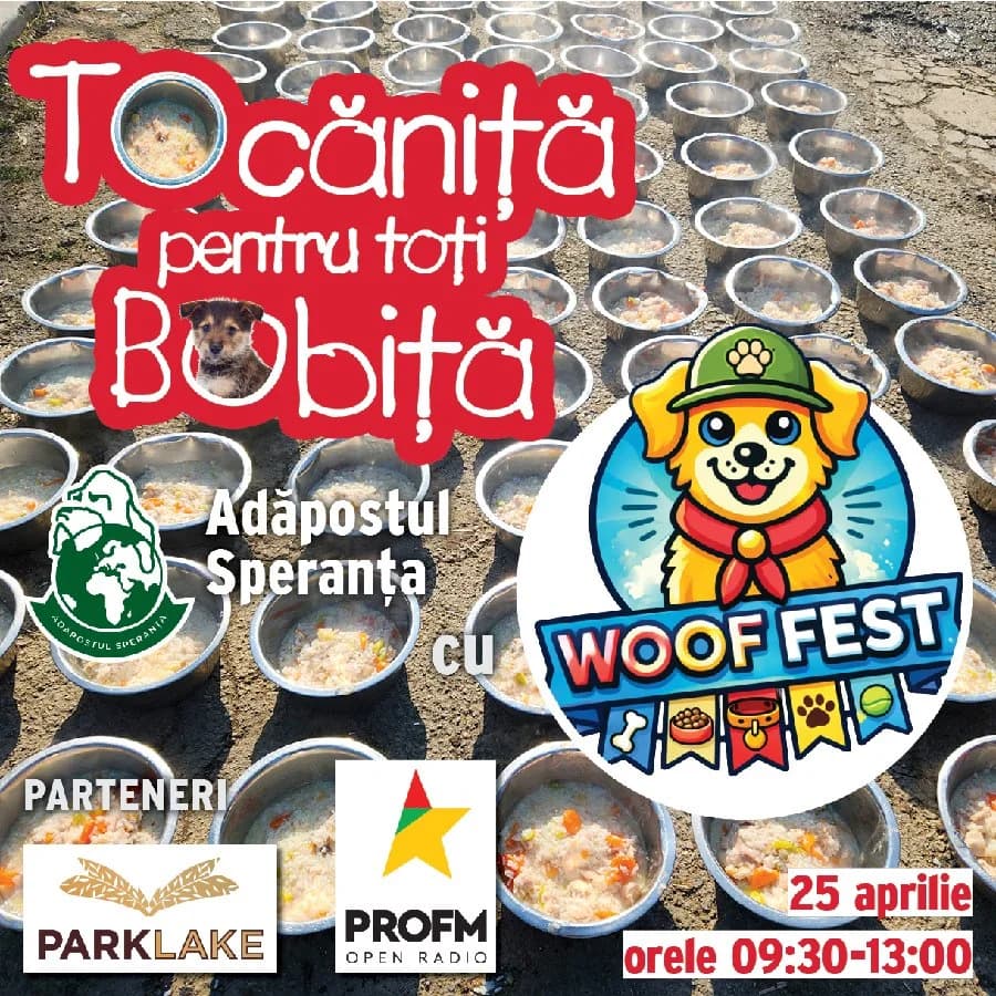 Tocănița Woof Fest, 25 aprilie, male Mixed Breed for adoption at Speranța Shelter Foundation