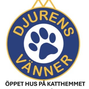 Stöd oss, gra Mixed Breed for adoption at Djurens Vanner Goteborg