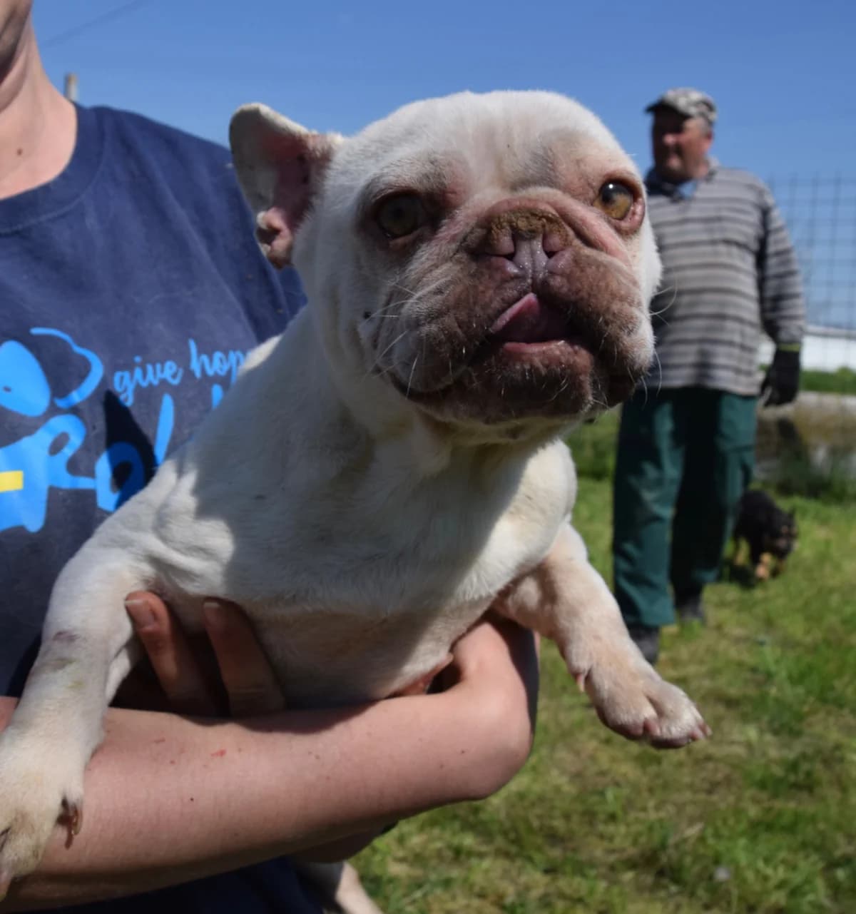Loka, female Mixed Breed for adoption at Rolda Sverige, Södertälje (foster network)