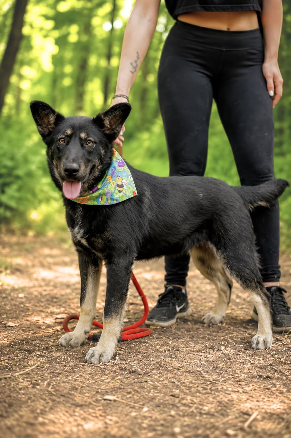 Boby, male Mixed Breed for adoption at Pomoc Psíkom z Východu