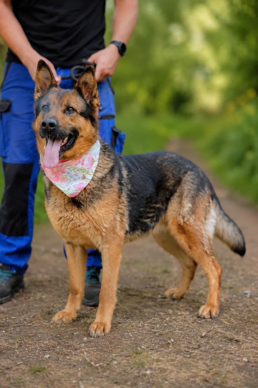 Calesta, female Mixed Breed for adoption at Pomoc Psíkom z Východu