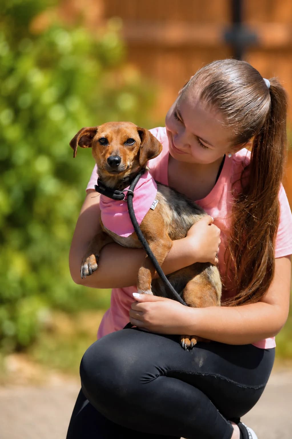 Delinka, female Mixed Breed for adoption at Pomoc Psíkom z Východu