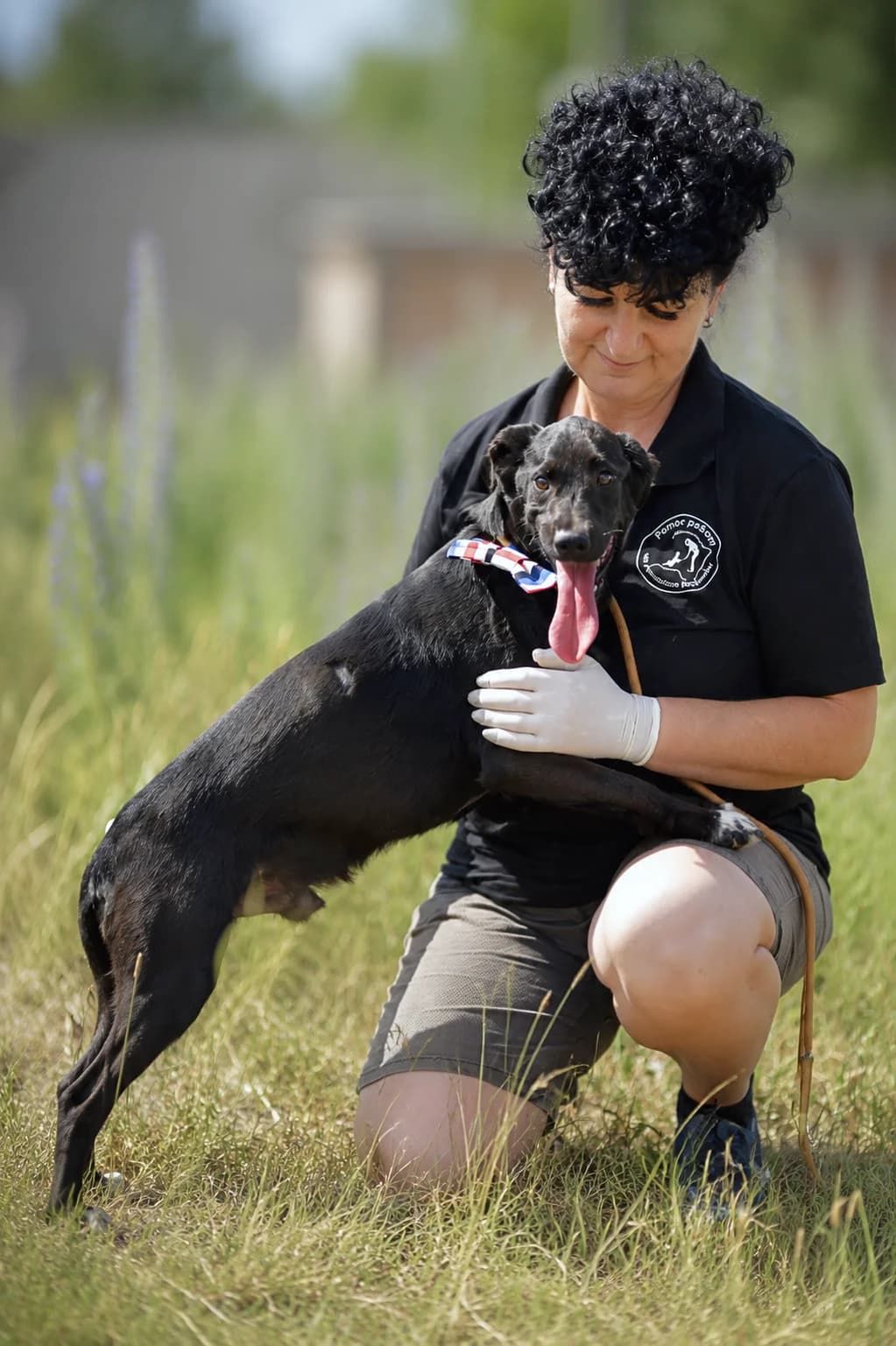 Elemír, male Mixed Breed for adoption at Pomoc Psíkom z Východu