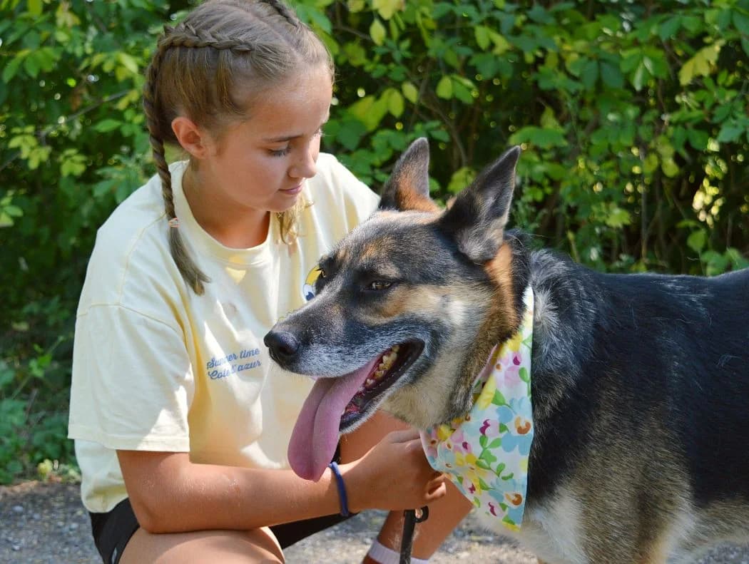 Jully, female young Mixed Breed for adoption at Pomoc Psíkom z Východu