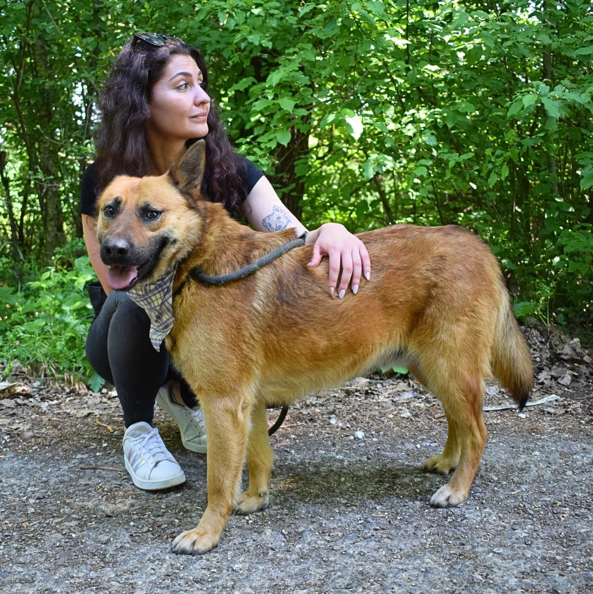 Valdemar, male Mixed Breed for adoption at Pomoc Psíkom z Východu