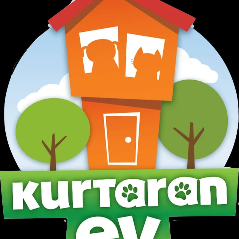 Yeşilbayır Mah, Mixed Breed for adoption at Kurtaran Ev, Kurtaran Ev