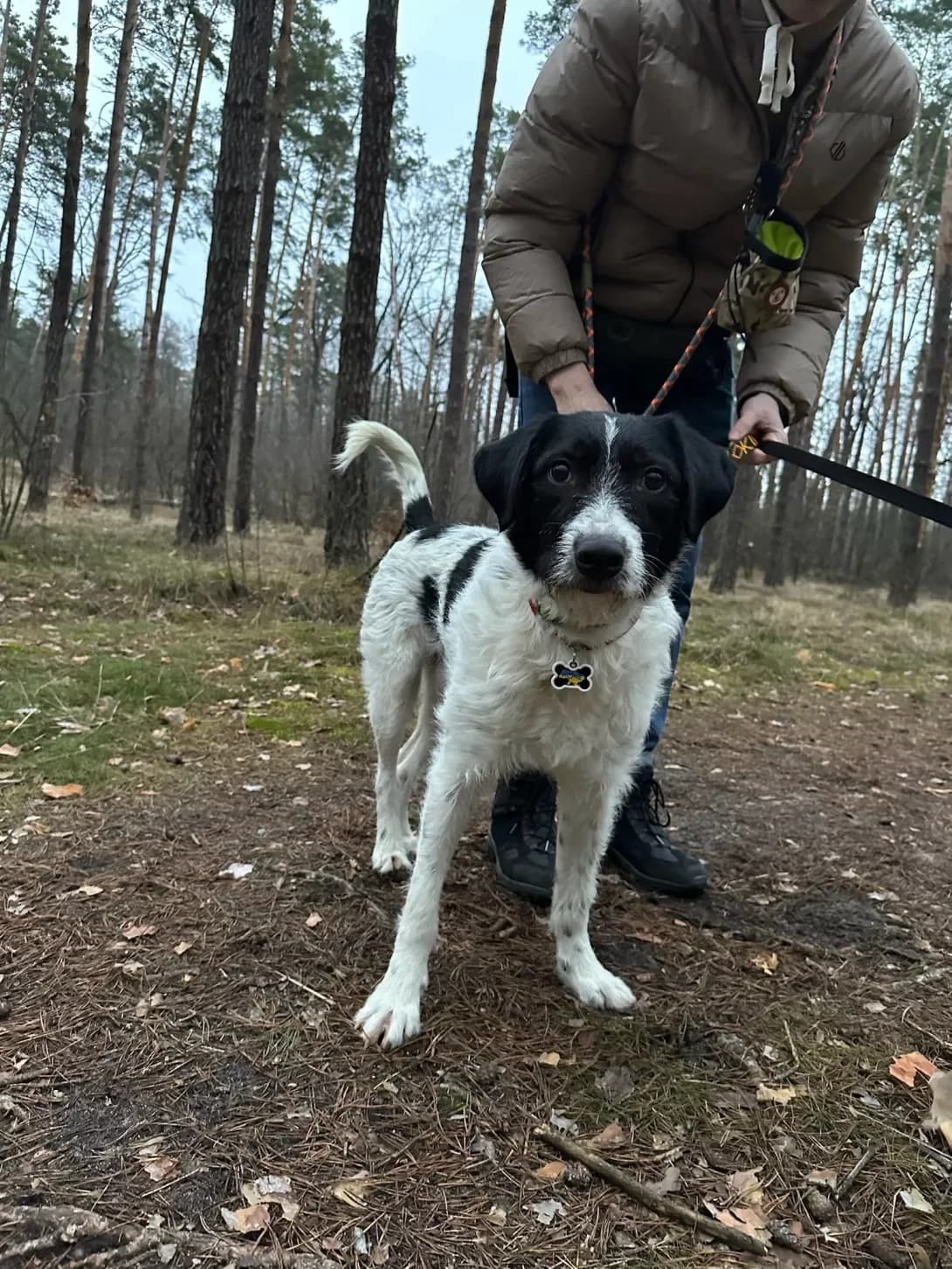 Genrikh (Генріх), male 3yo Mixed Breed for adoption at Happy Paw Kyiv