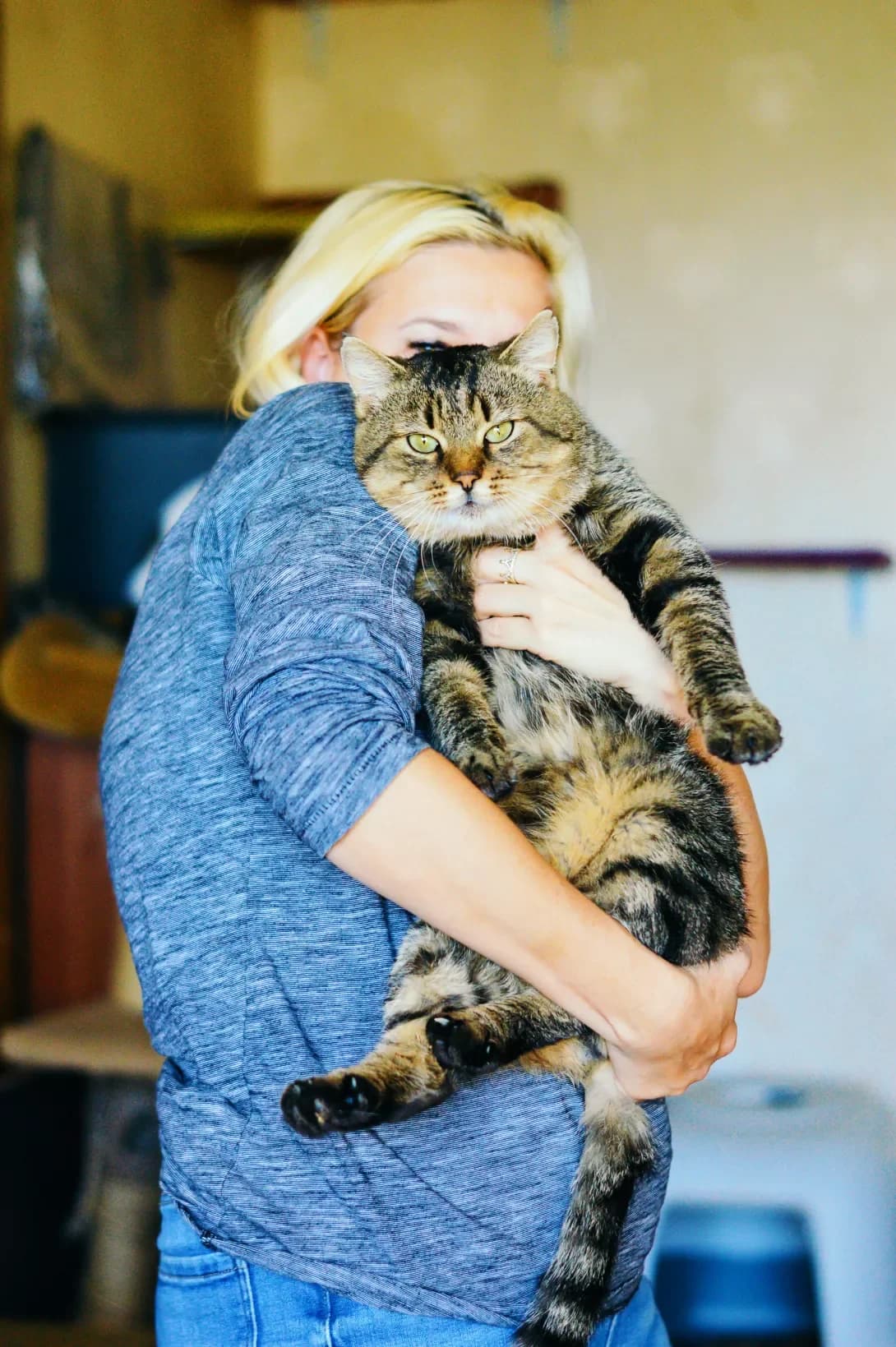 Frendi (Френди), male 3yo Mixed Breed for adoption at Happy Paw Kyiv