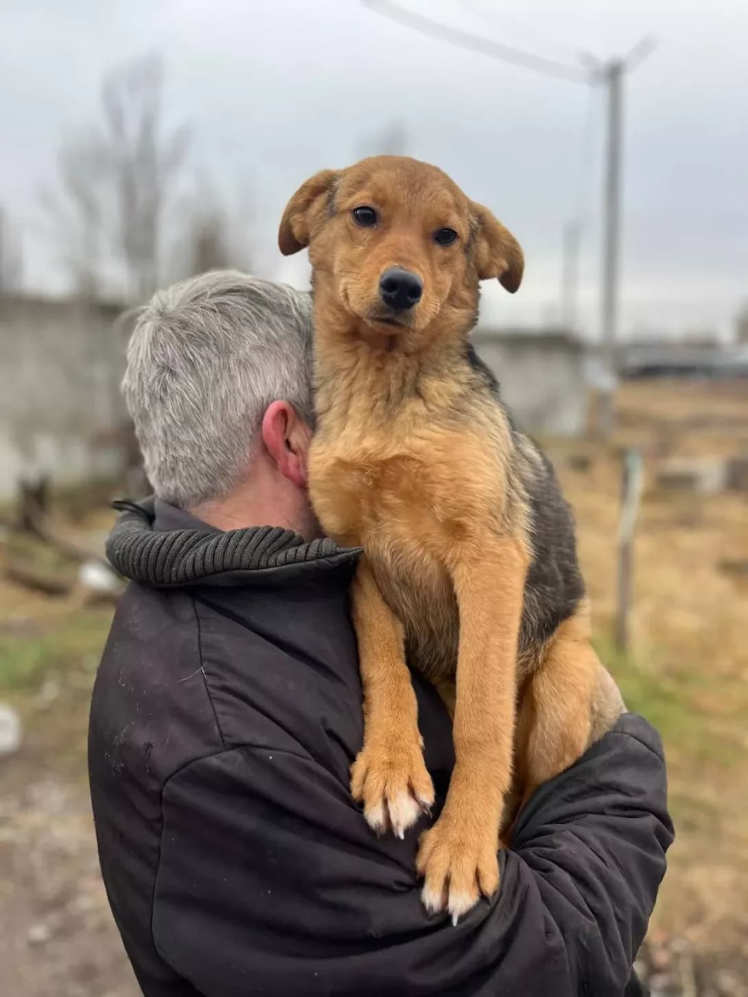 Tsutsenyata (Цуценята), male young Mixed Breed for adoption at Happy Paw Kyiv