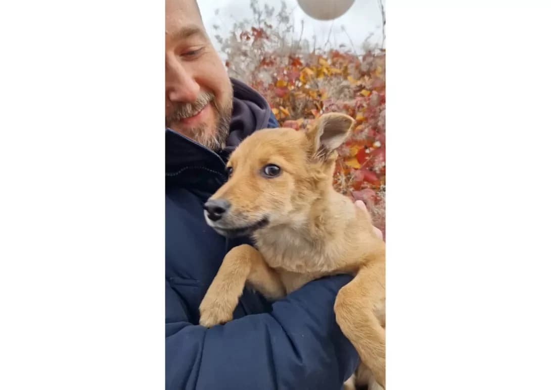 Kroksi (Кроксі), female young Mixed Breed for adoption at Happy Paw Kyiv