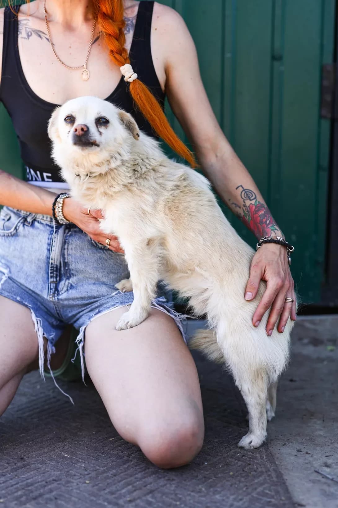 Tuzik (Тузік), male 3yo Mixed Breed for adoption at Happy Paw Dnipro
