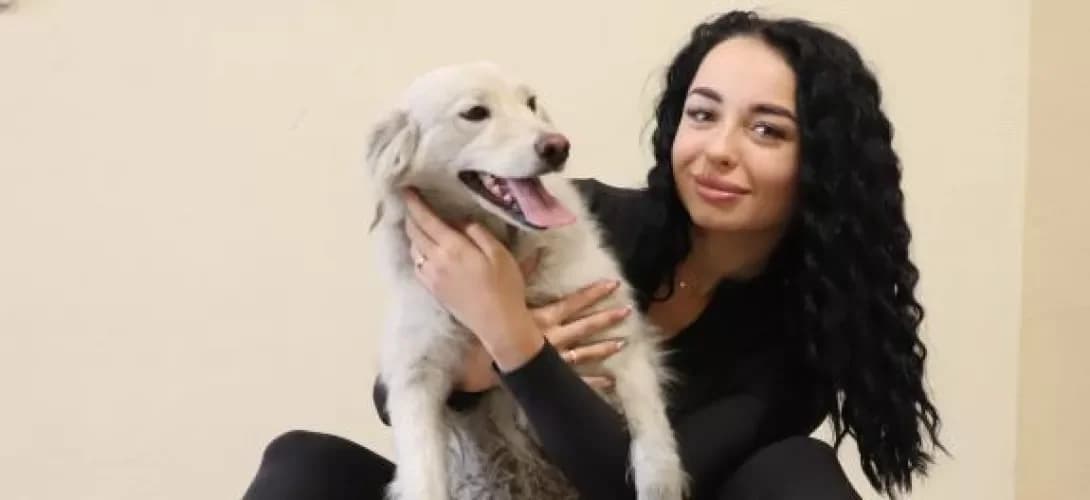 Snizhana (Сніжана), female 6yo Mixed Breed for adoption at Happy Paw Donetsk Oblast