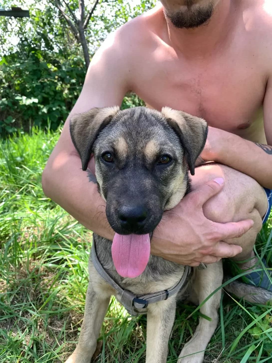 Luna (Луна), female young Mixed Breed for adoption at Happy Paw Ivano-Frankivsk Oblast