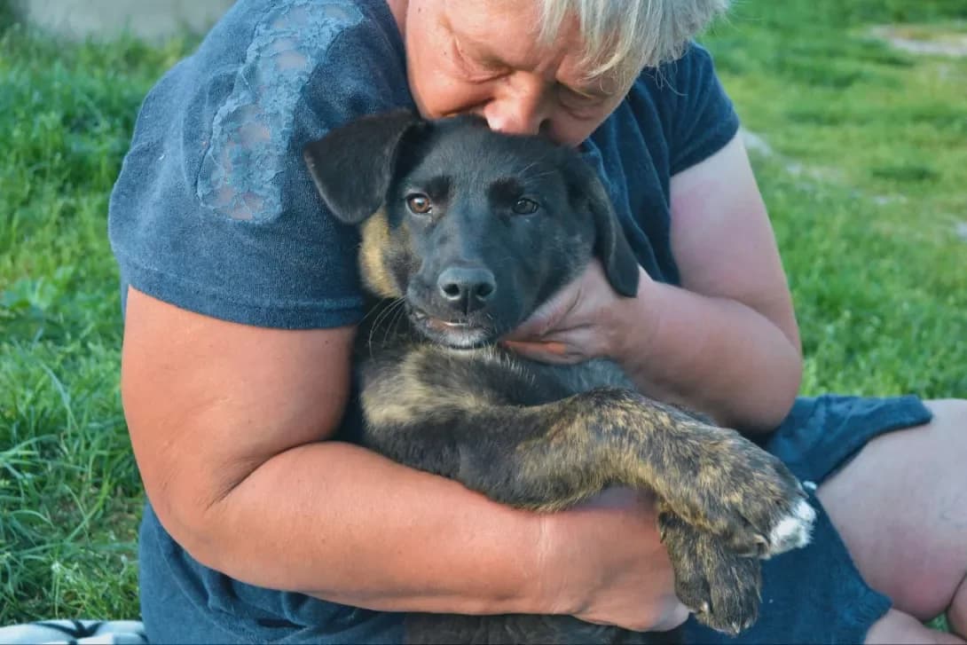Emmi (Еммі), female 3yo Mixed Breed for adoption at Happy Paw Kyiv