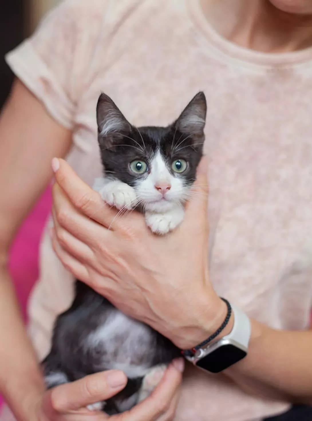 Tomas (Томас), male puppy Mixed Breed for adoption at Happy Paw Kyiv