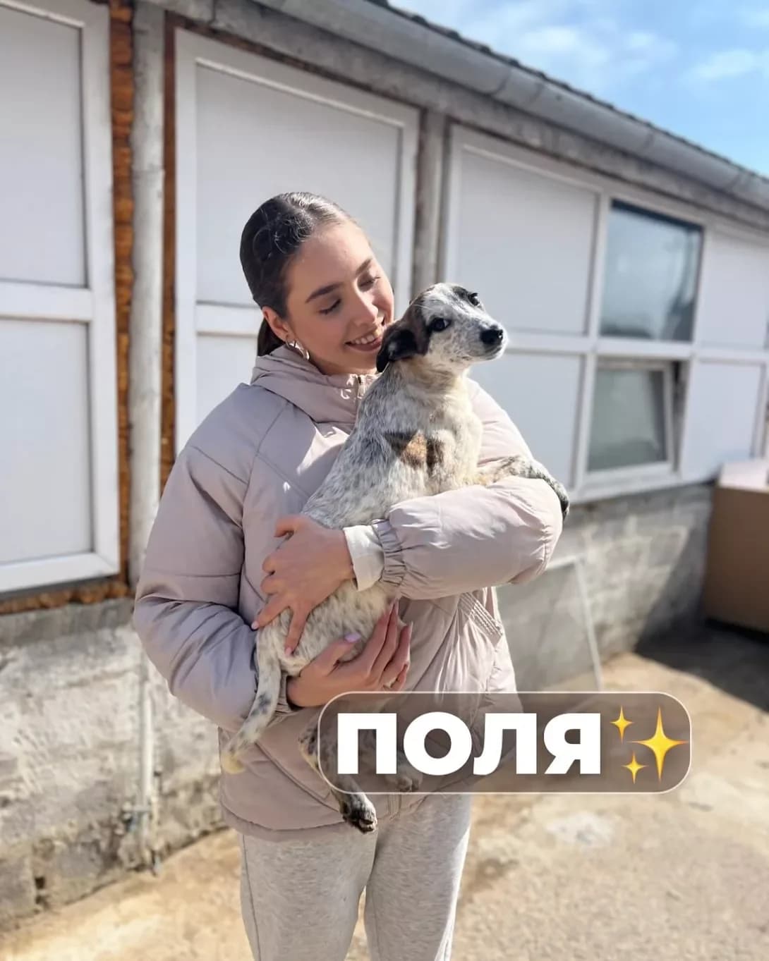 Polya (Поля), female young Mixed Breed for adoption at Happy Paw Odesa