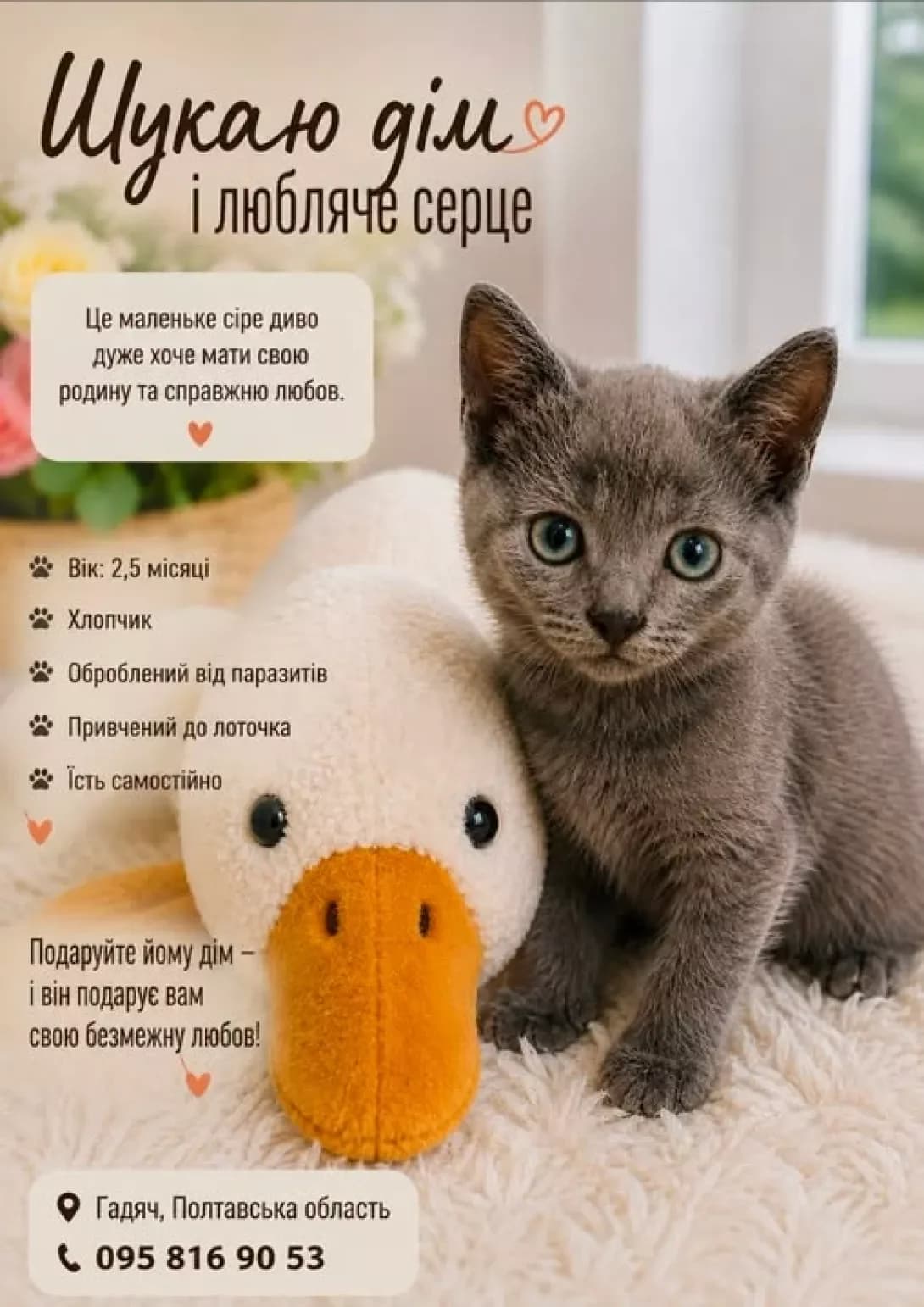 bez klichki (без клички), male puppy Mixed Breed for adoption at Happy Paw Poltava