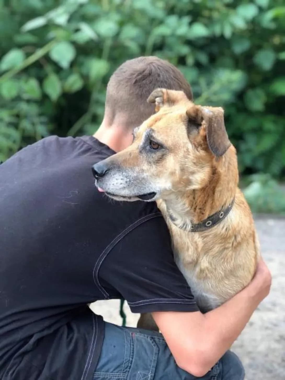 Mukha (Муха), female senior Mixed Breed for adoption at Happy Paw Zaporizhzhia