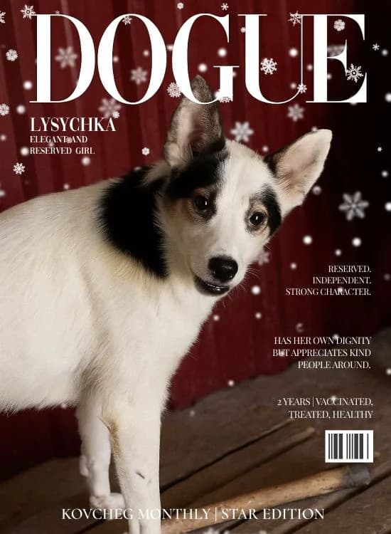 NashiPesiki (НашіПесики), Mixed Breed for adoption at Kovcheg Shelter Odesa, Odesa