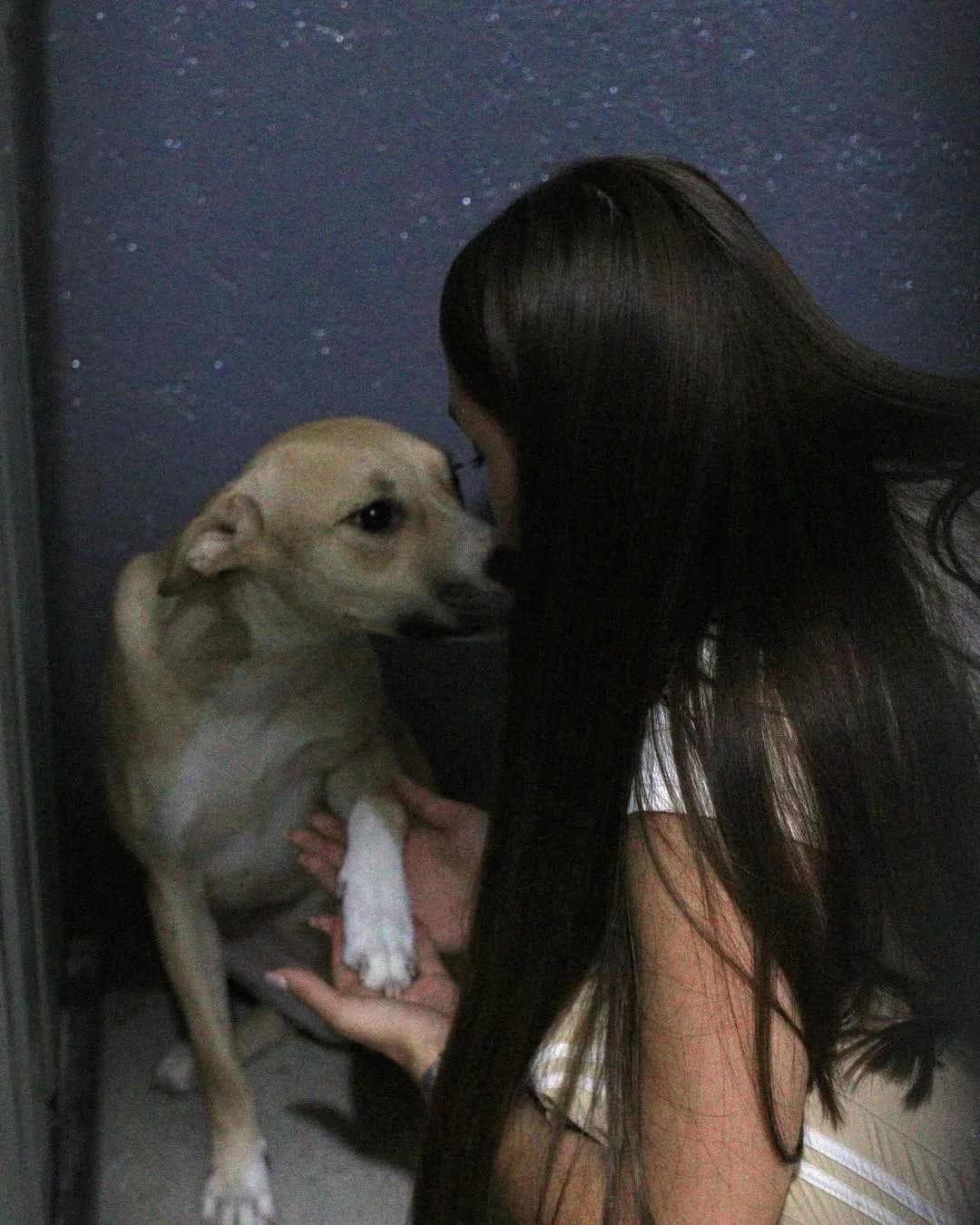 NashiPesiki (НашіПесики), Mixed Breed for adoption at Kovcheg Shelter Odesa, Odesa
