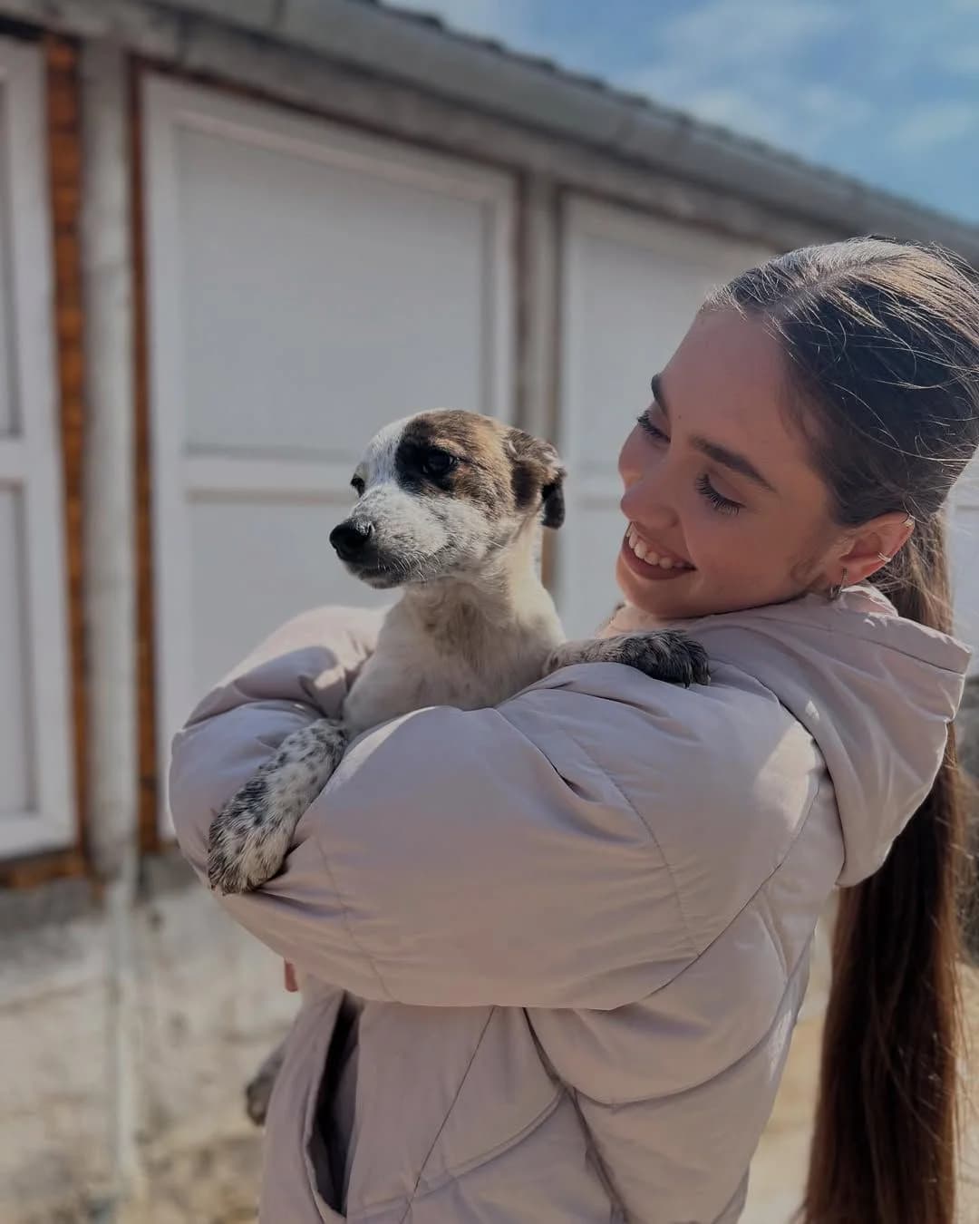 NashiPesiki (НашіПесики), Mixed Breed for adoption at Kovcheg Shelter Odesa, Odesa